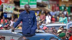 William Ruto Loses Cool, Lectures Meru Youths Heckling in His Rally: "Mnakosa Heshima"