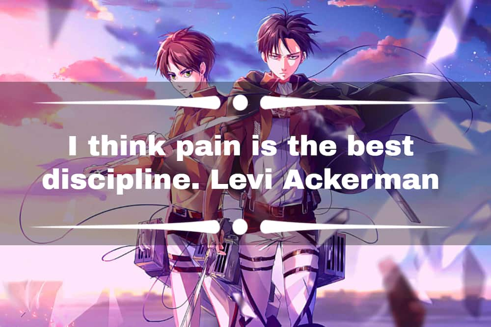 Attack On Titan quotes