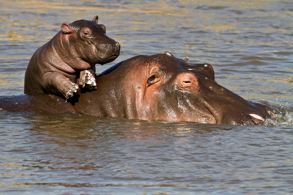 romantic places for couples to visit in Kisumu