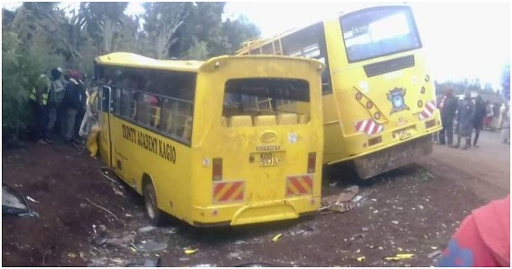 School buses. Photo: Accident Alerts.