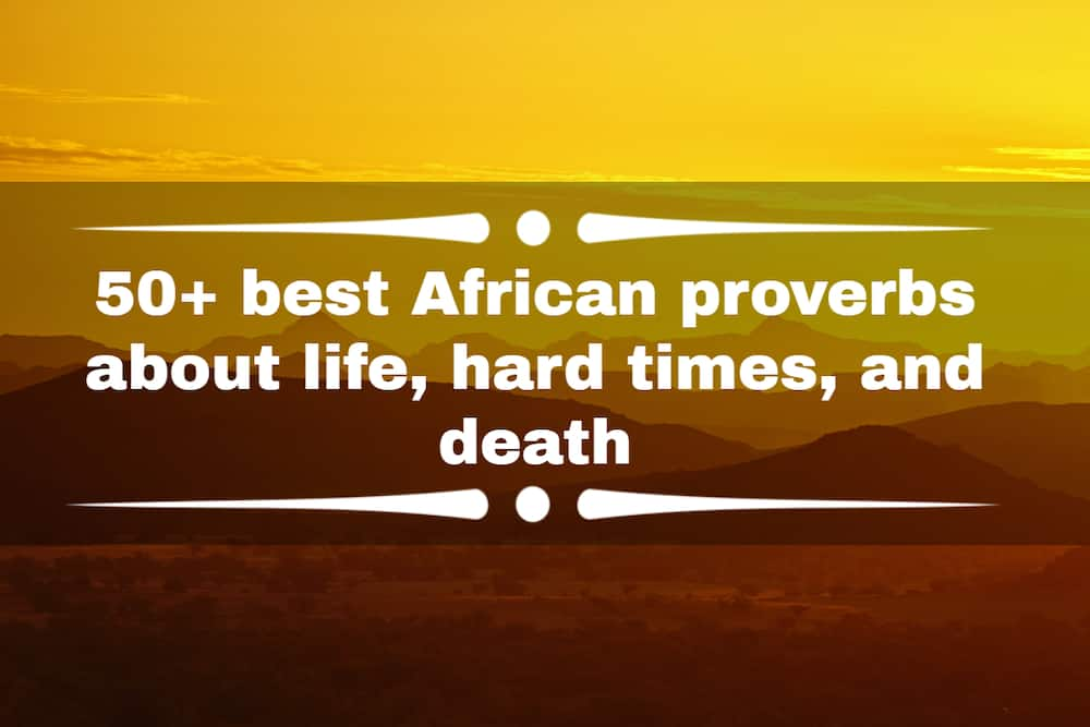 www african proverbs