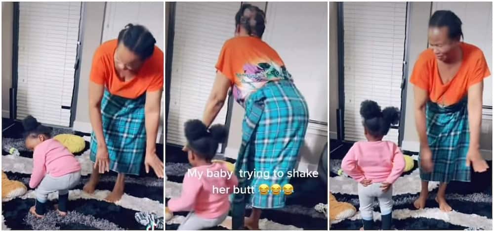 A little Nigerian kid recently danced with her grandmother and it was a delight to watch.