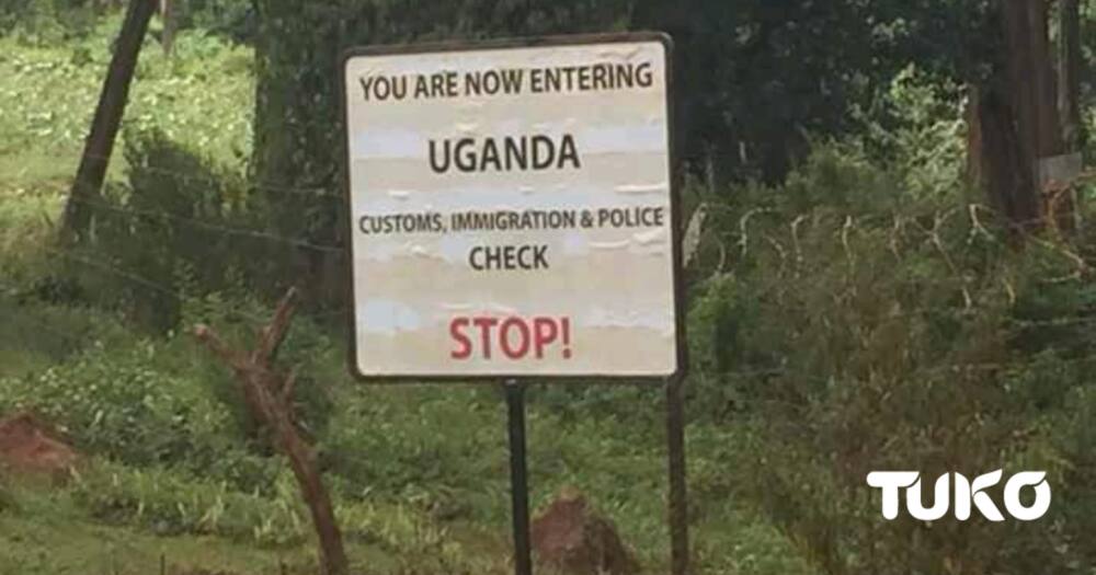 Kenya-Uganda border.