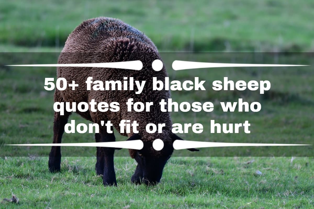 Black Sheep Quote