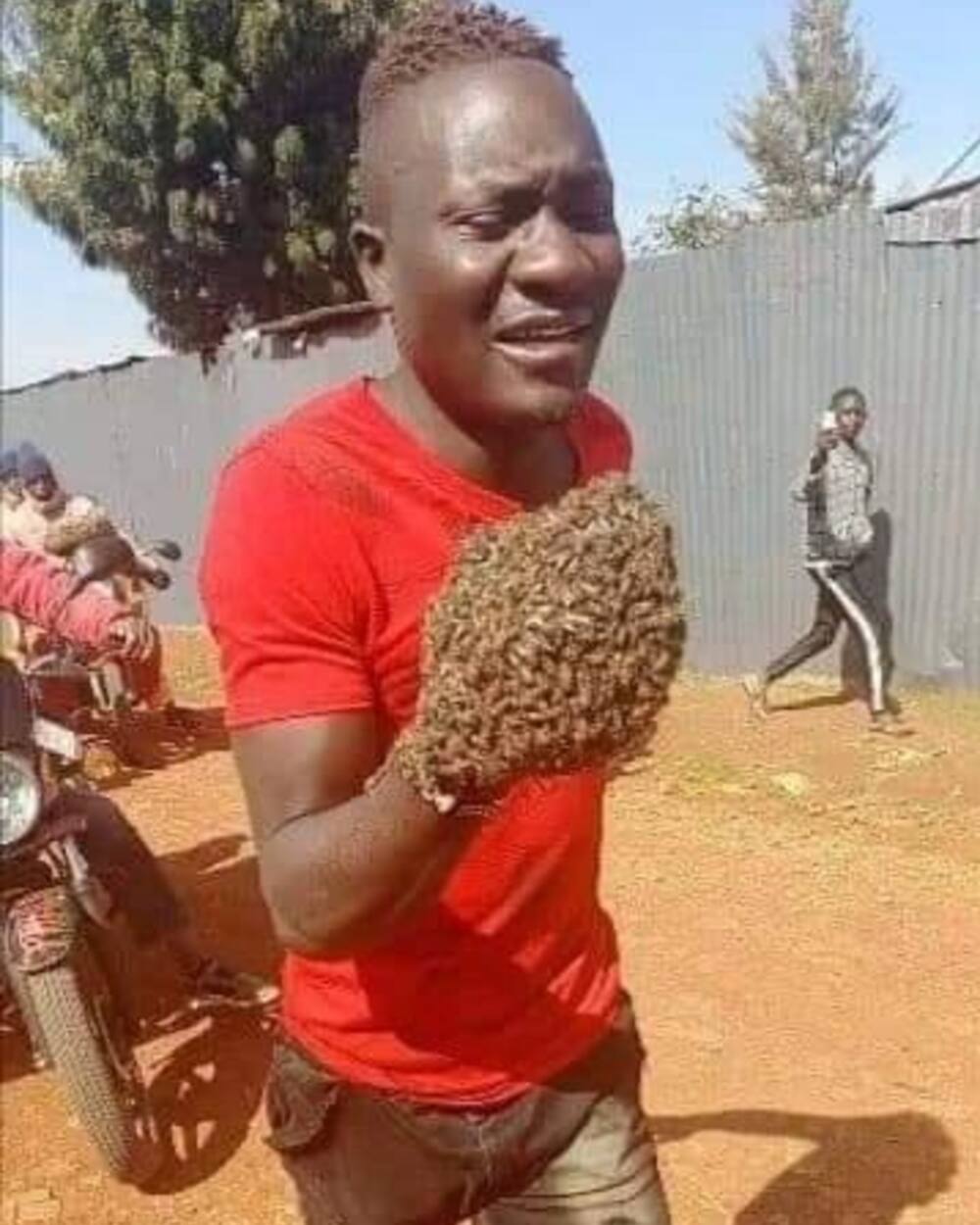 A Man Suffers the Wrath of Bees After Stealing in Machakos, Returns Everything