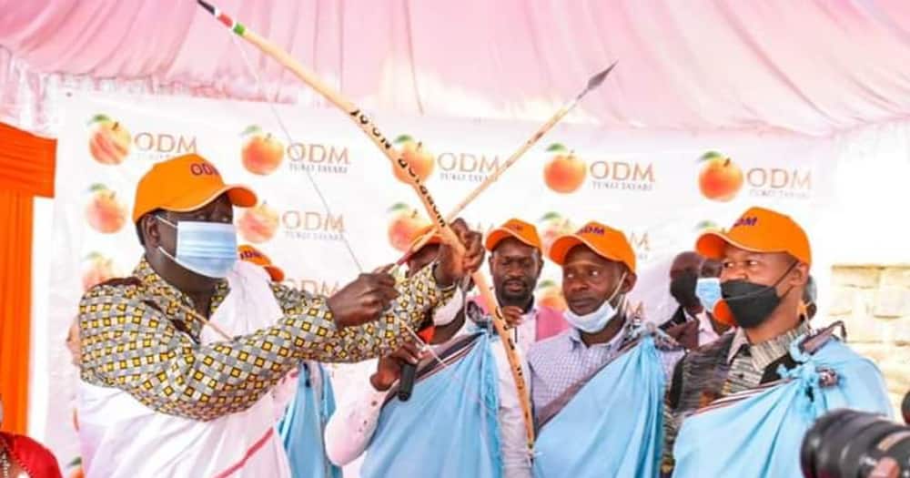 ODM leader Raila Odinga. Photo: ODM party.