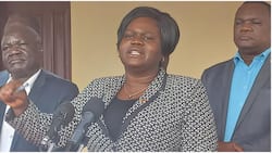Homa Bay: Fraudsters Impersonate Governor Wanga to Swindle Residents
