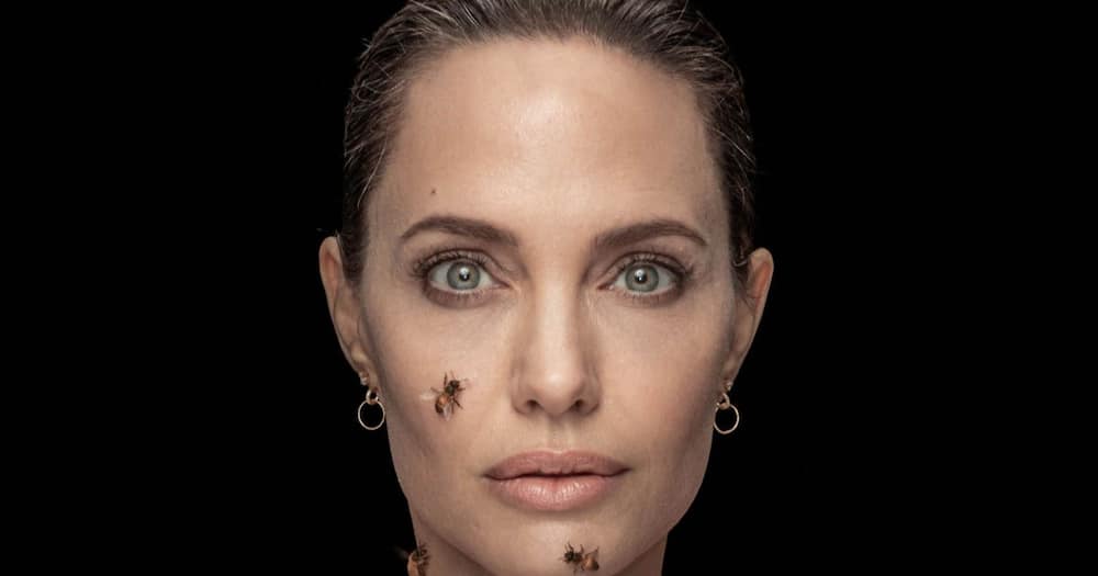 Angelina Jolie Poses for Photoshoot While Covered with Bees to Raise Awareness for Conservation Efforts