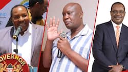 Evans Kidero, Ferdinand Waititu, Okoth Obado Among 20 Facing Corruption Cases in Court This Week