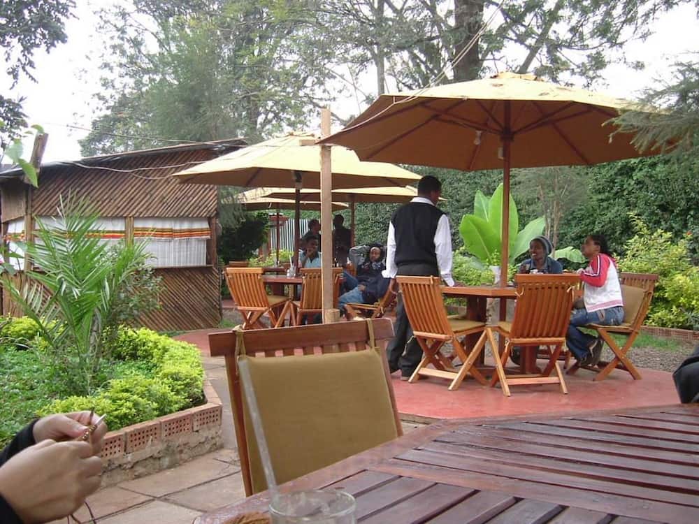 Ethiopian restaurants in Nairobi