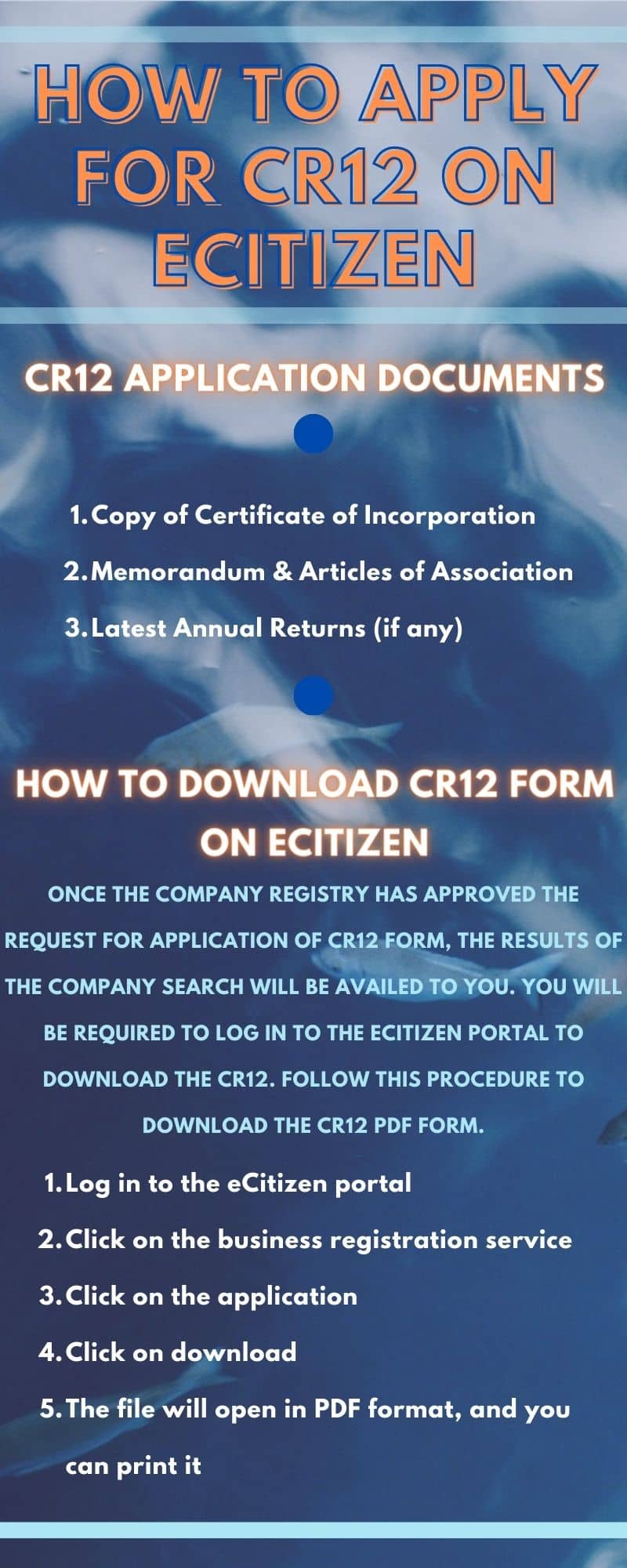 How to apply for CR12 on eCitizen