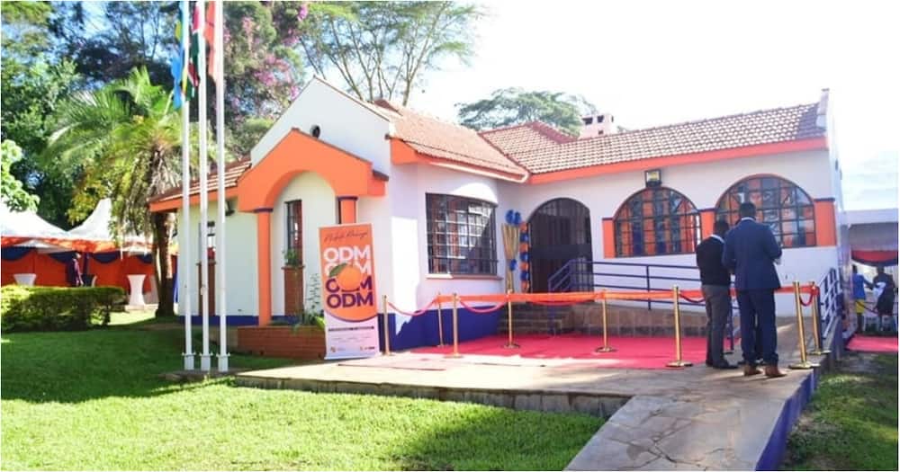 UDA is Kenya's Most Preferred Political Party in Kenya, ODM Comes Second in Infotrak Poll