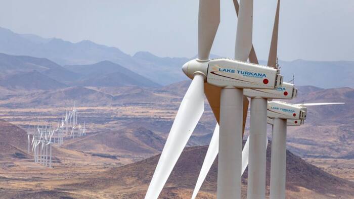 Kenya's Hope for Cheap Electricity Dims as Lake Turkana Wind Power Rejects Slashed Tariffs