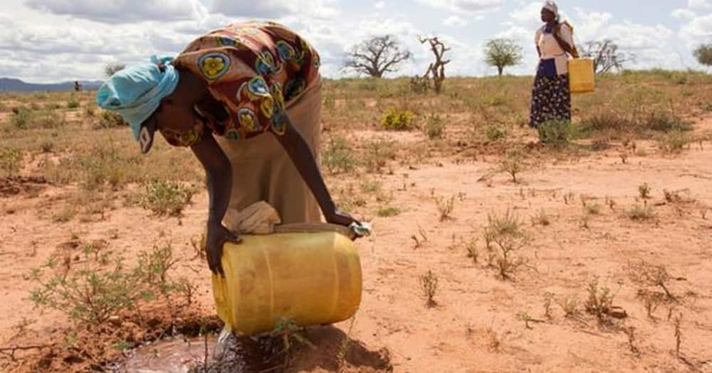 Woman pouring water.