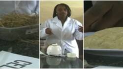 Kabarak University Students Produce Ugali Flour from Grass to Address Food Crisis