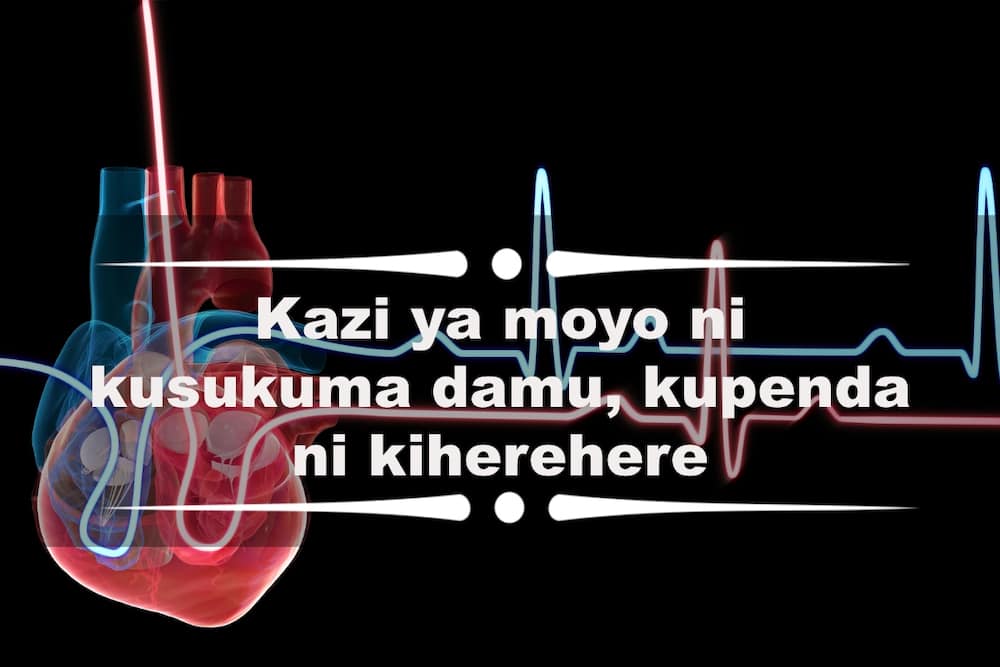 Best funny Swahili quotes, phrases and images you should know Best funny Swahili quotes, phrases and images you should know