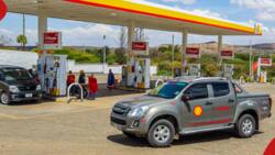 Vivo Energy Kenya Sales Fall by KSh 31b on Reduced Fuel Demand, Weak Shilling