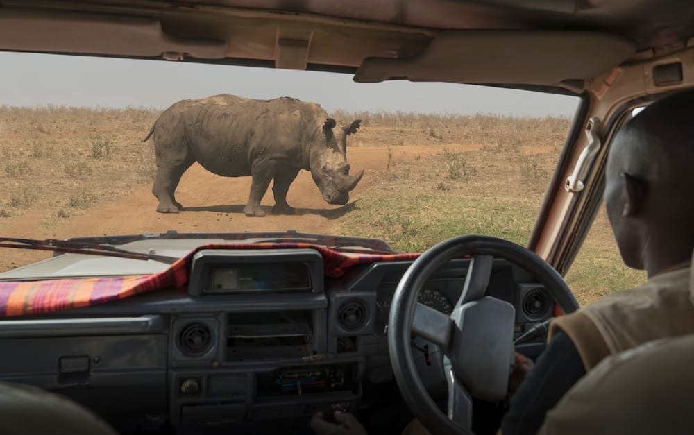 Nairobi National Park game drive charges