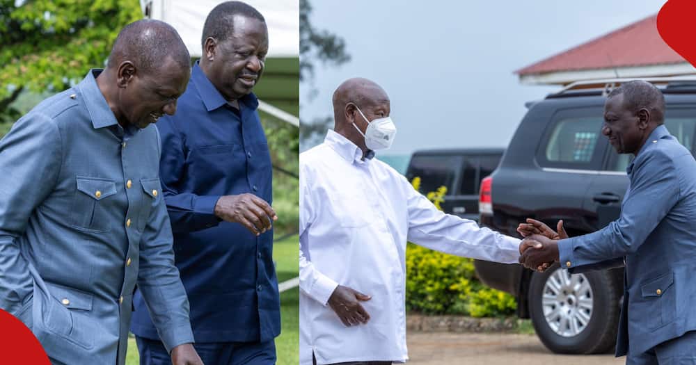 The left frame shows Raila Odinga and William Ruto chatting. The right frame shows Ruto and Yoweri Museveni greeting. Raila played a key role in solving their disputes.