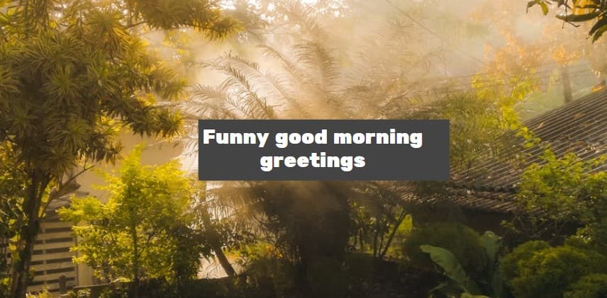 Funny Good Morning Greetings - Funny PNG