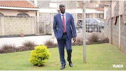 Danstan Omari Tells DCI to Summon Fred Matiang'i, Raila Odinga: "I Was Doing My Client's Job"