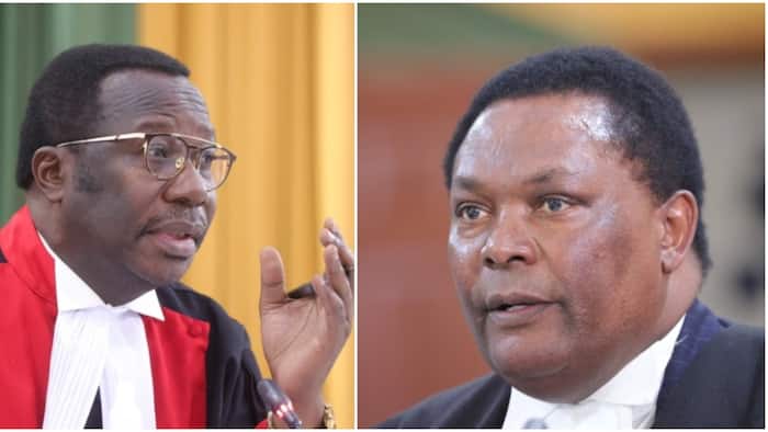 Smokin Wanjala Hilariously Puts William Ruto's Lawyer to Task Over Solomonic Wisdom Story