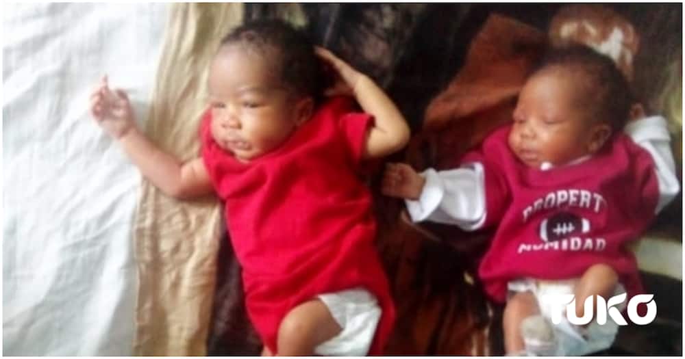 Kakamega woman gives birth to triplets, appeals for help to raise babies after losing job