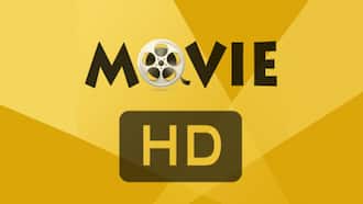 movies download websites in mobile