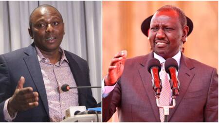 William Ruto Bans MP Caucuses to Stop Fallout in Kenya Kwanza Alliance