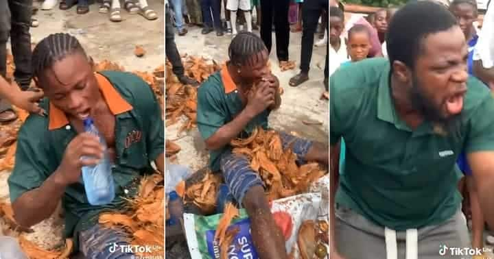 Man peels coconuts with his teeth. Photo credit: @mayorofabk.