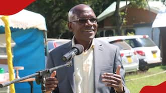 Boni Khalwale Berates Kenya Kwanza Legislators for Not Questioning Gov't Policies: "I'm Disturbed"