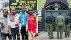 Babu Owino Bails Out 3 Men from Industrial Area Prison: "Nitawachosha na Kazi"