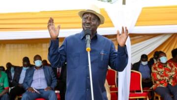 Kenya Decides: William Ruto, Raila Odinga Hit 6m Votes Each as Presidential Race Enters Homestretch