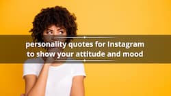 110+ personality quotes for Instagram to show your attitude and mood