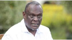 David Murathe: Don't Expect Uhuru Kenyatta to Campaign for Raila, He's Not on the Ticket