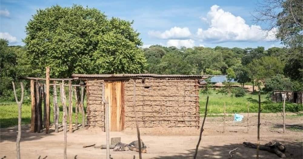 It Is Prudent to Build a House in Shags Even if You Live in The City, TUKO Poll