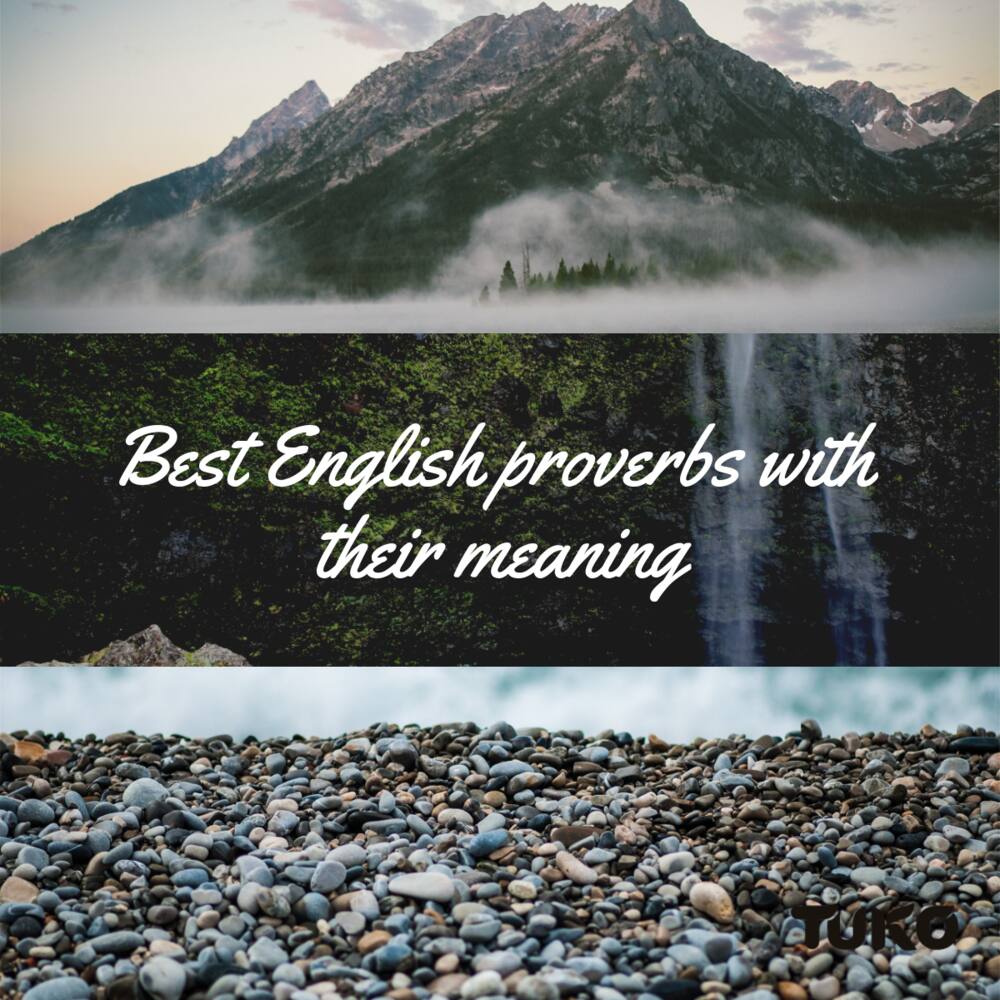 English proverbs with their meaning