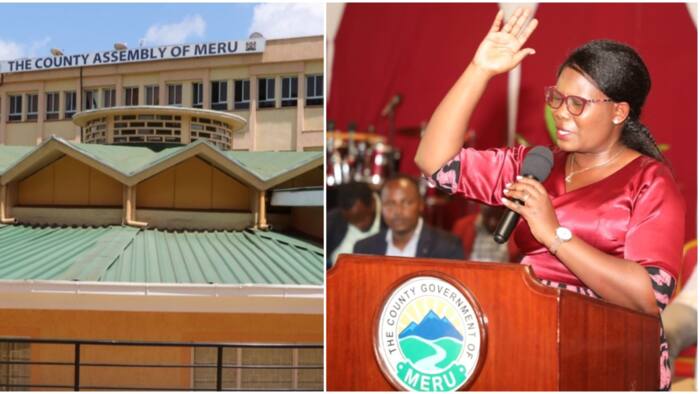 Kawira Mwangaza Moves to Court to Stop Meru MCAs from Bundling Her out of Office