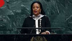 Amina Mohameď: Former CS Lands Plum Job at UN Weeks after Being Appointed to Global Board