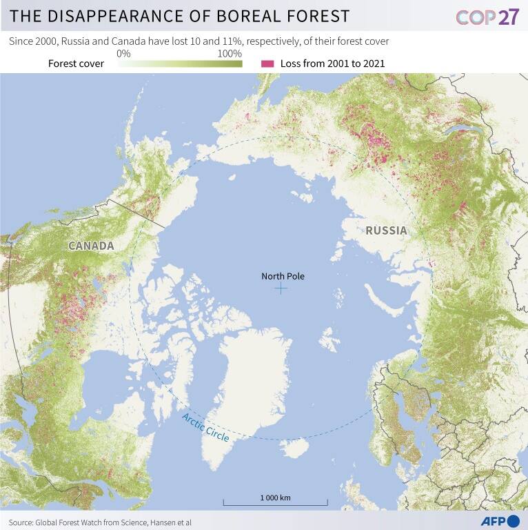 Map of the Earth's northern hemisphere showing the loss of forest cover since 2000