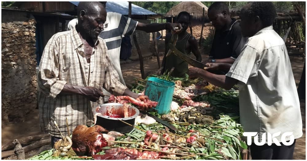 Matumbo: A Delicacy Used by Kalenjin Subtribes to Forecast Weather, Predict Calamities