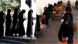 Taliban Bans Afghan Women from Continuing with University Education