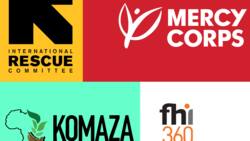 Top 15 NGOs in Kenya 2022 and their contacts: Best registered NGOs