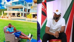 Hassan Joho: List of Companies Owned by Mombasa Governor
