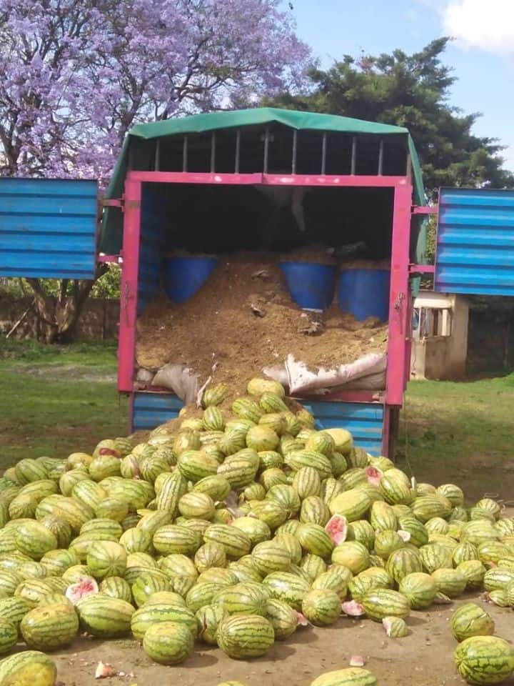 Detectives impound 2 lorries transporting 54 drums of ethanol concealed by watermelons
