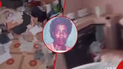 Granddaughter of Thika Woman Found Dead after 9 Months Shares Video of Her Vandalised House
