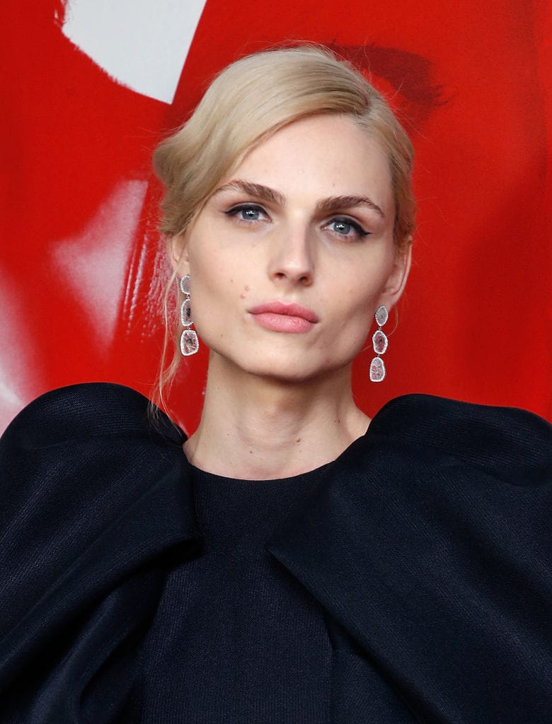 Andreja Pejic Partner Net Worth Transgender Before And After Measurements Ke