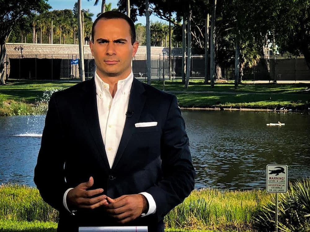 Boris Sanchez bio wife, children, nationality, body, eyebrows Tuko.co.ke