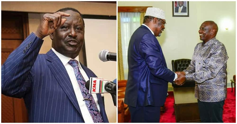 "Raila Odinga Anazidi Kupata Umaarufu": Miguna Miguna Sasa Amlilia Rais William Ruto