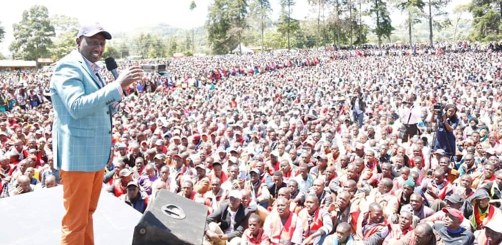 William Ruto tells Jubilee members campaigning for other parties to shape up or ship out